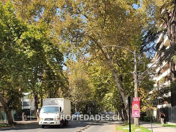 Imagen 12