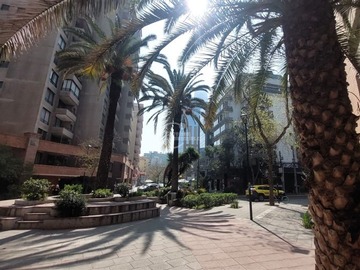 Imagen 20