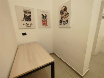Imagen 8