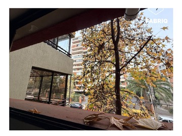 Imagen 21