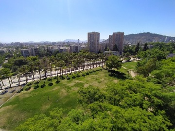 Imagen 9