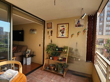 Imagen 10
