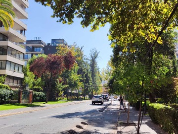Venta / Departamento / Providencia