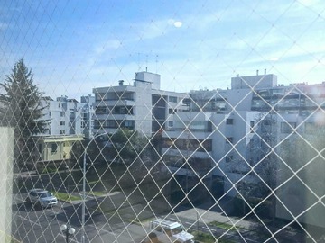 Imagen 12