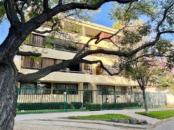 Imagen 16