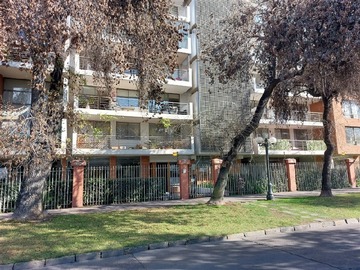Imagen 25