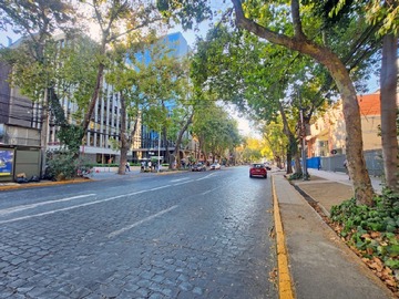 Imagen 23