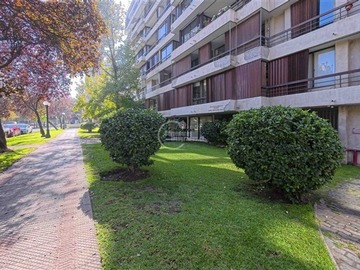Imagen 22