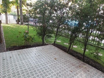 Imagen 21