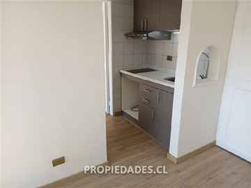 Imagen 13
