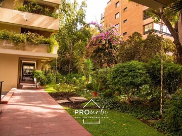 Imagen 26