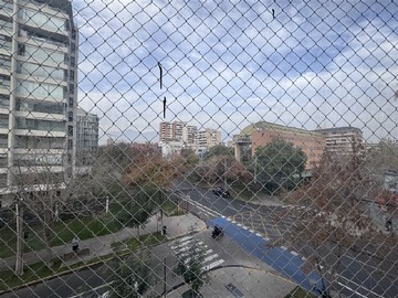 Imagen 5