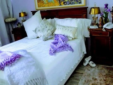 Imagen 6