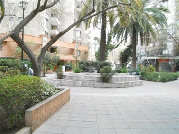 Imagen 19