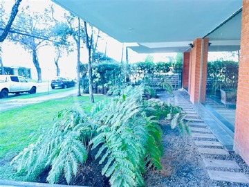 Imagen 23