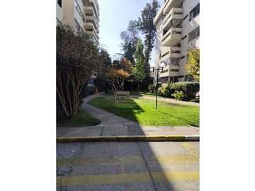 Imagen 20