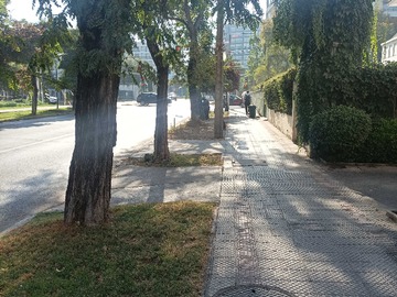 Imagen 12