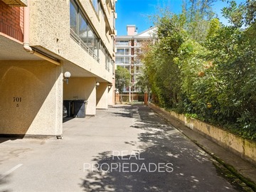 Imagen 19