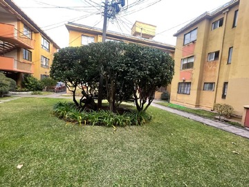 Imagen 14