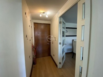 Imagen 19