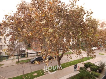 Imagen 16