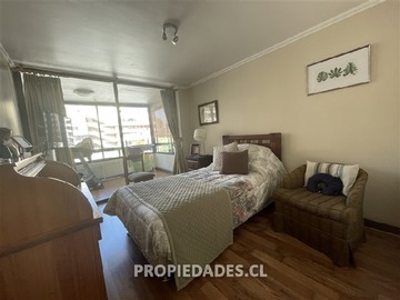 Imagen 23