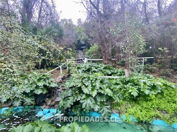 Imagen 29