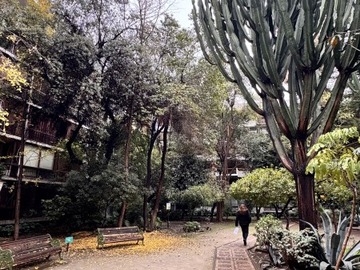 Imagen 10