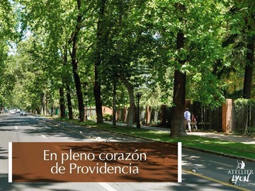 Imagen 23