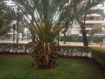 Imagen 6