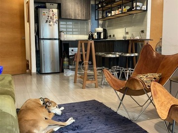 Venta / Departamento / Providencia