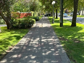 Imagen 17