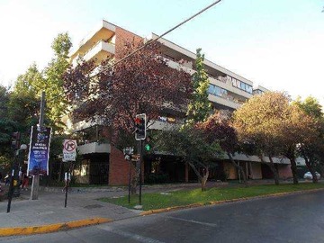 Imagen 13