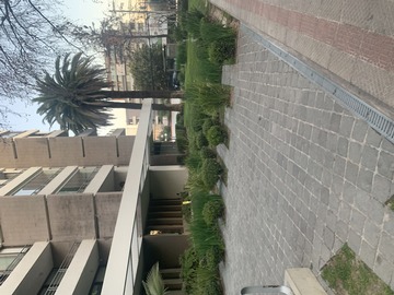 Imagen 42