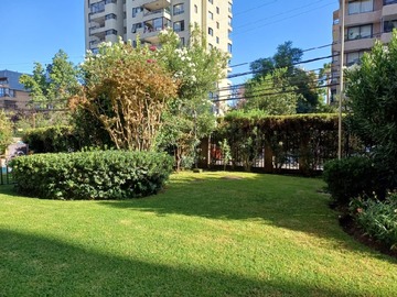 Imagen 22