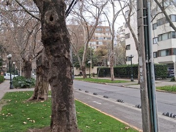 Venta / Departamento / Providencia