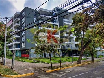 Imagen 11