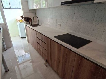 Imagen 11