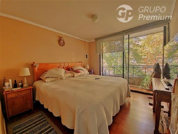 Imagen 11