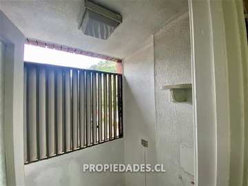Imagen 16