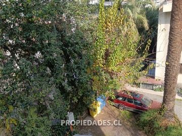 Imagen 11