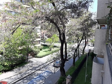 Imagen 5