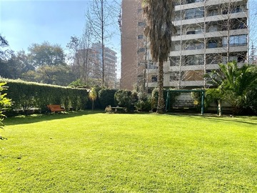 Imagen 22