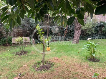 Imagen 22