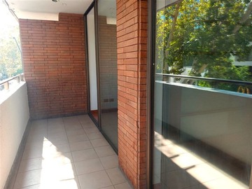 Imagen 11