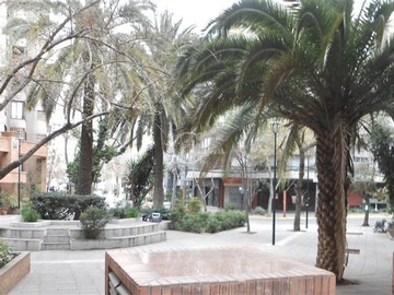 Imagen 18