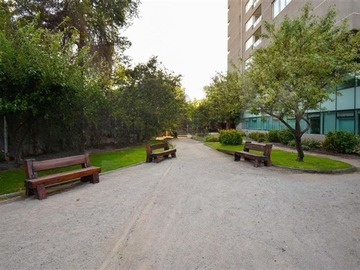 Imagen 21