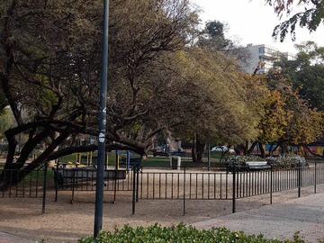 Imagen 21