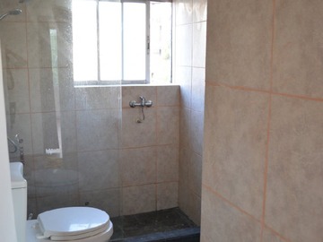 Imagen 11