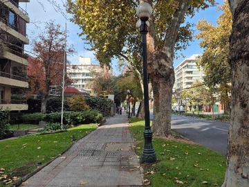 Imagen 23